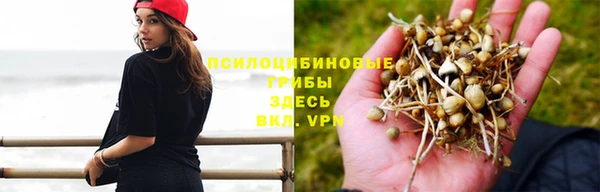 метадон Алзамай
