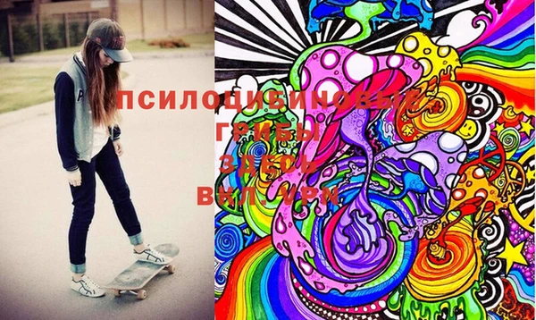 дмт Алексин