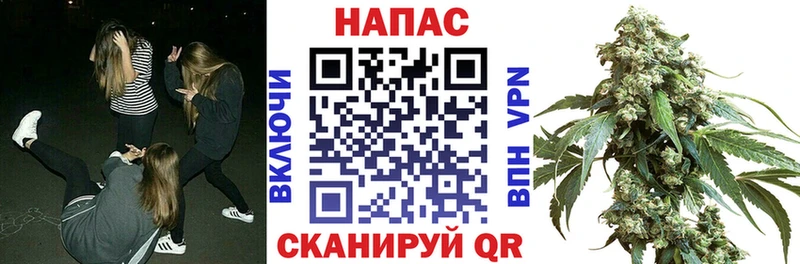 Каннабис индика  Выкса 